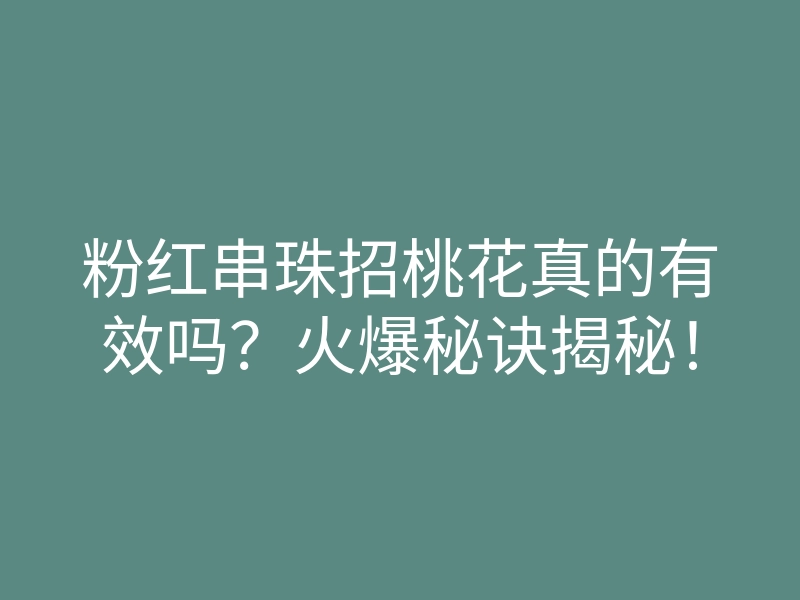 粉红串珠招桃花真的有效吗?火爆秘诀揭秘!