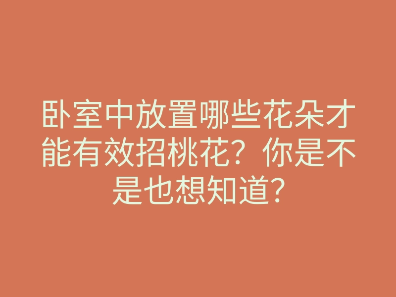 卧室中放置哪些花朵才能有效招桃花?你是不是也想知道?