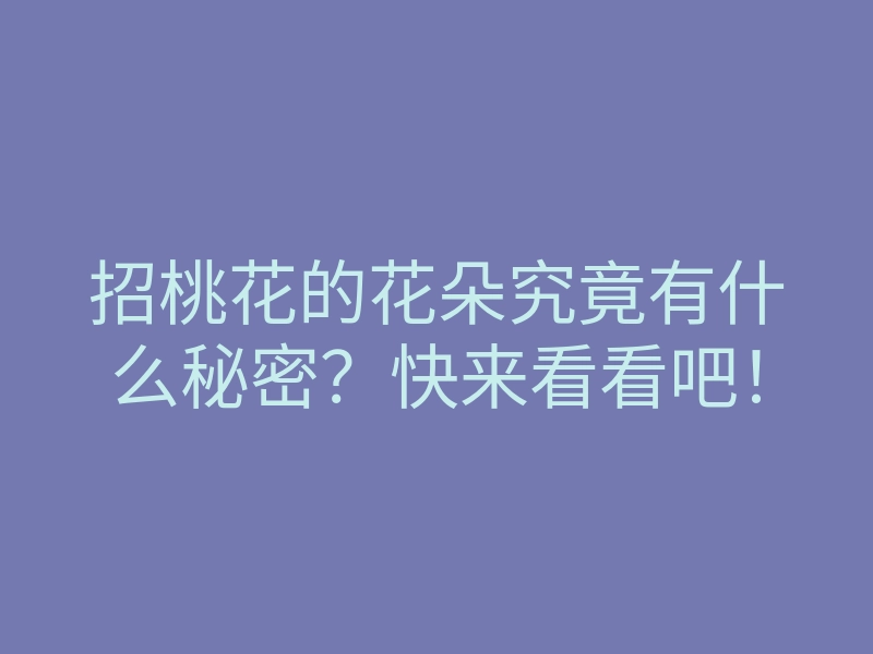 招桃花的花朵究竟有什么秘密?快来看看吧!