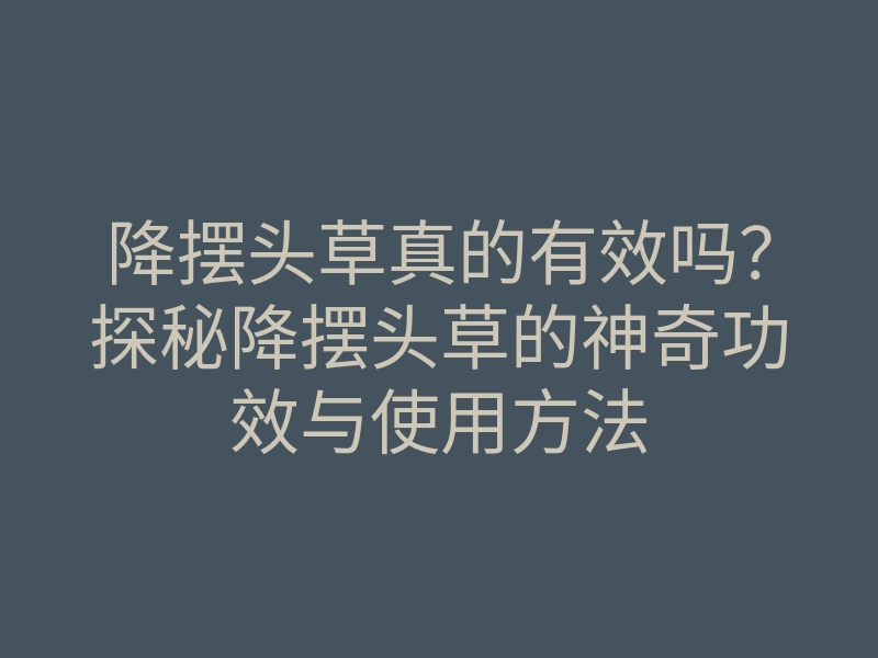 降摆头草真的有效吗?探秘降摆头草的神奇功效与使用方法