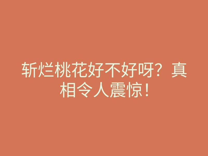 斩烂桃花好不好呀?真相令人震惊!