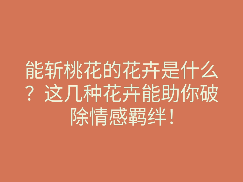 能斩桃花的花卉是什么？这几种花卉能助你破除情感羁绊！