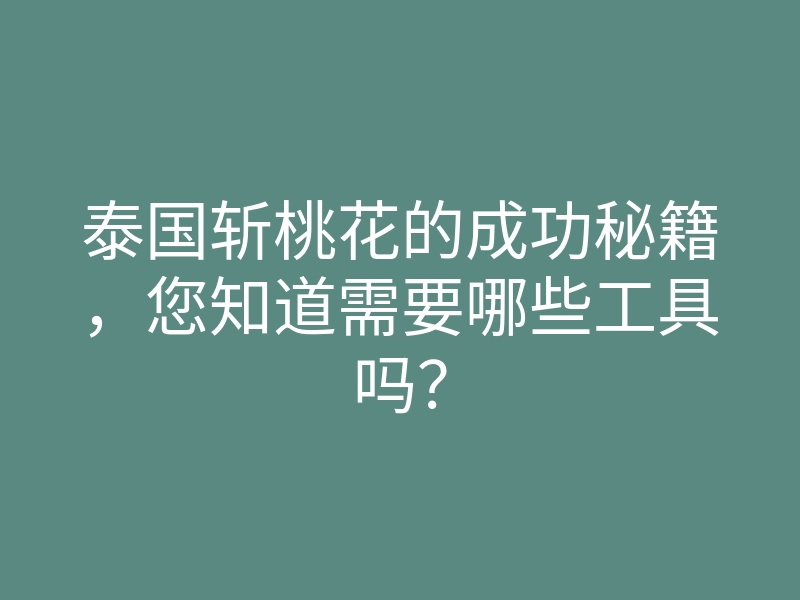 泰国斩桃花的成功秘籍,您知道需要哪些工具吗?