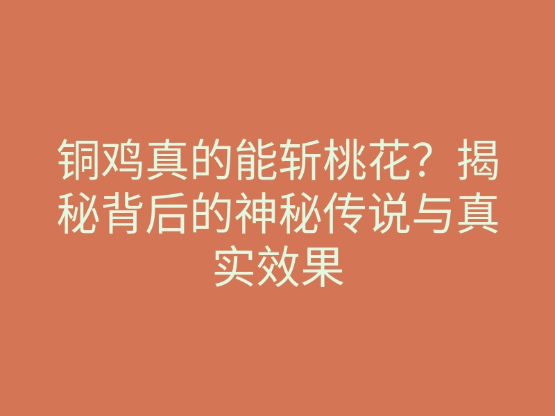 铜鸡真的能斩桃花?揭秘背后的神秘传说与真实效果