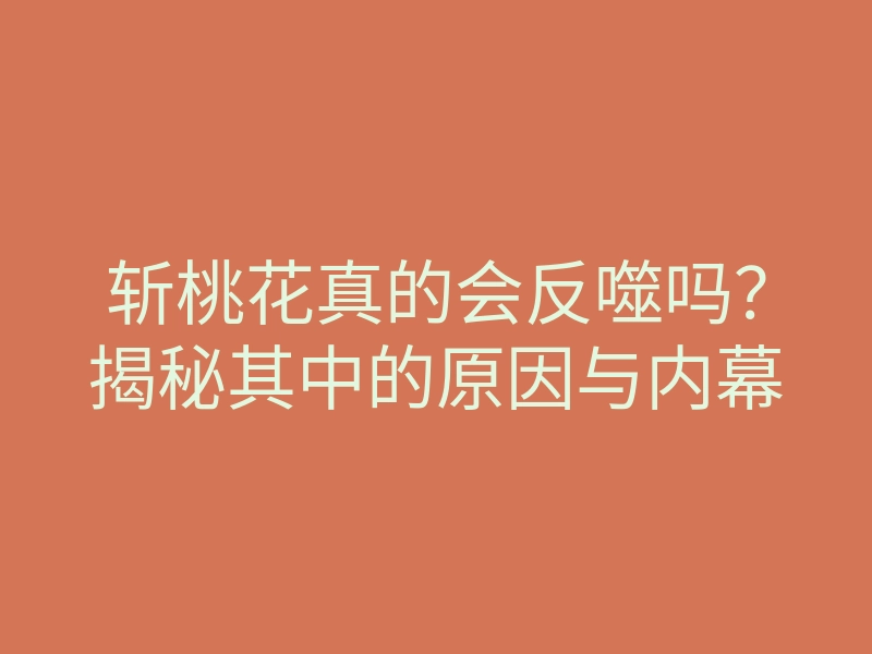 斩桃花真的会反噬吗？揭秘其中的原因与内幕