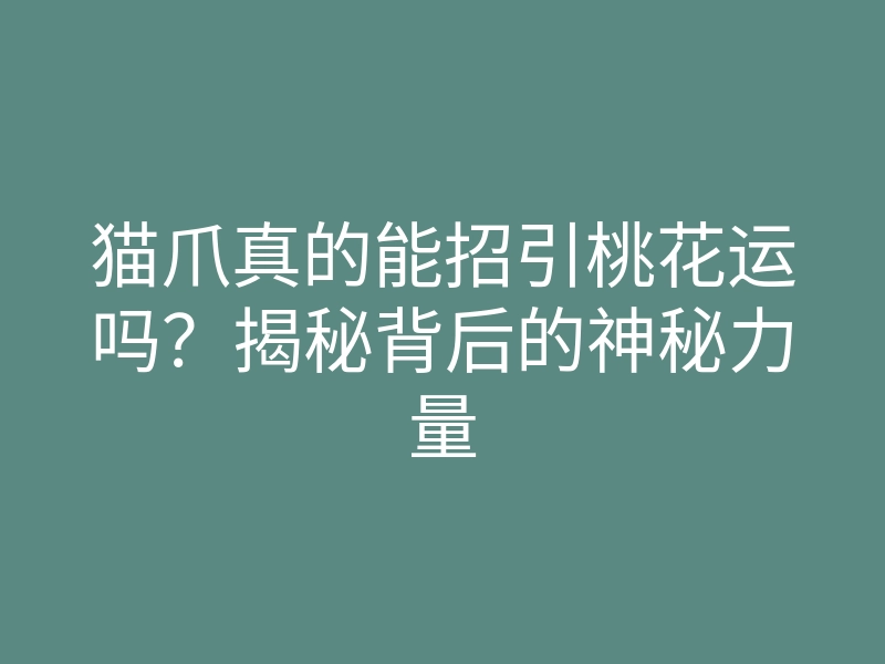 猫爪真的能招引桃花运吗？揭秘背后的神秘力量