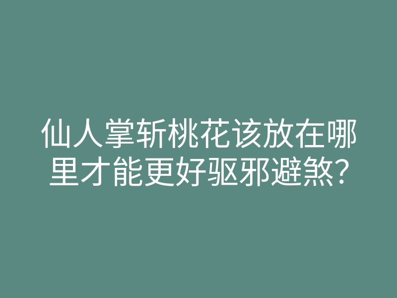 仙人掌斩桃花该放在哪里才能更好驱邪避煞?