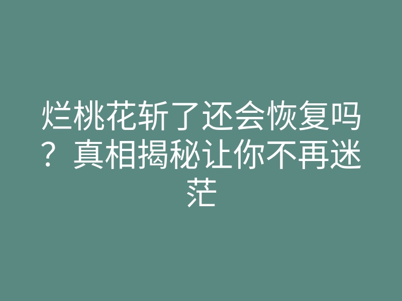 烂桃花斩了还会恢复吗?真相揭秘让你不再迷茫