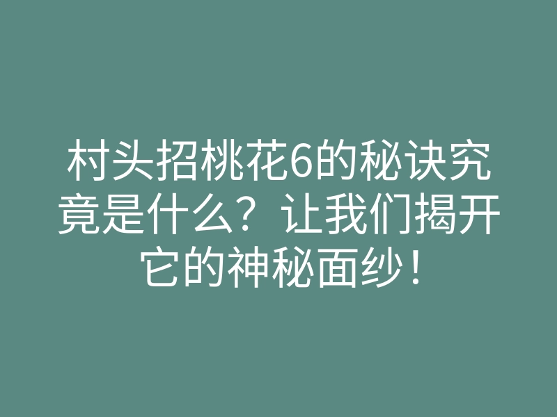 村头招桃花6的秘诀究竟是什么？让我们揭开它的神秘面纱！