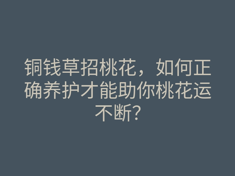 铜钱草招桃花,如何正确养护才能助你桃花运不断?