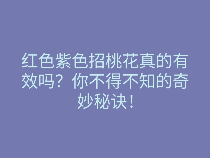 红色紫色招桃花真的有效吗?你不得不知的奇妙秘诀!