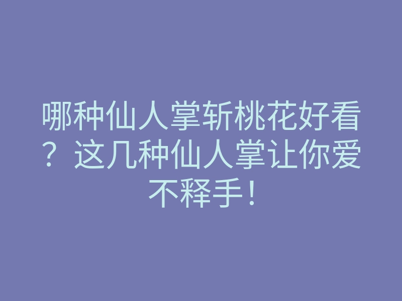 哪种仙人掌斩桃花好看?这几种仙人掌让你爱不释手!