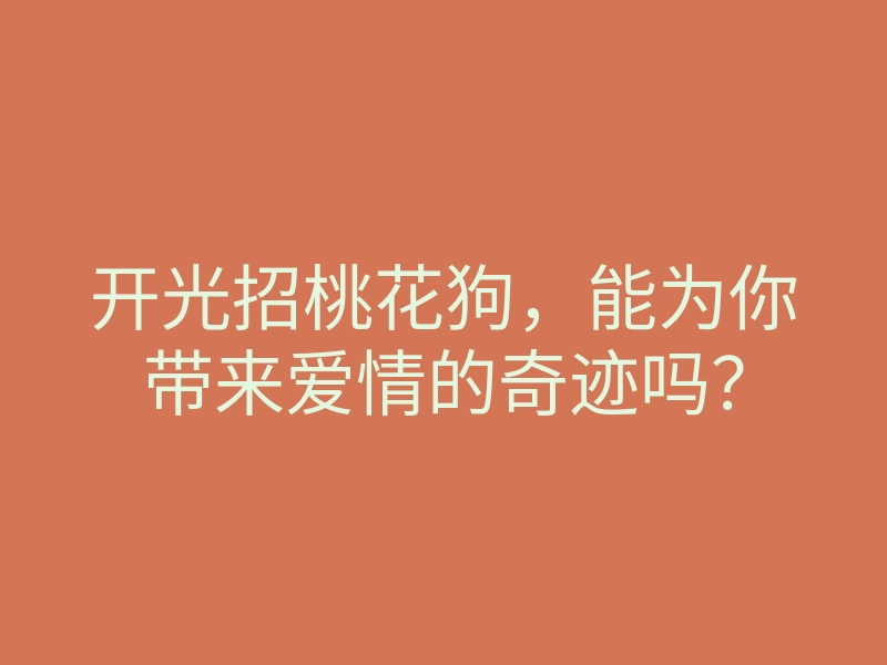 开光招桃花狗,能为你带来爱情的奇迹吗?