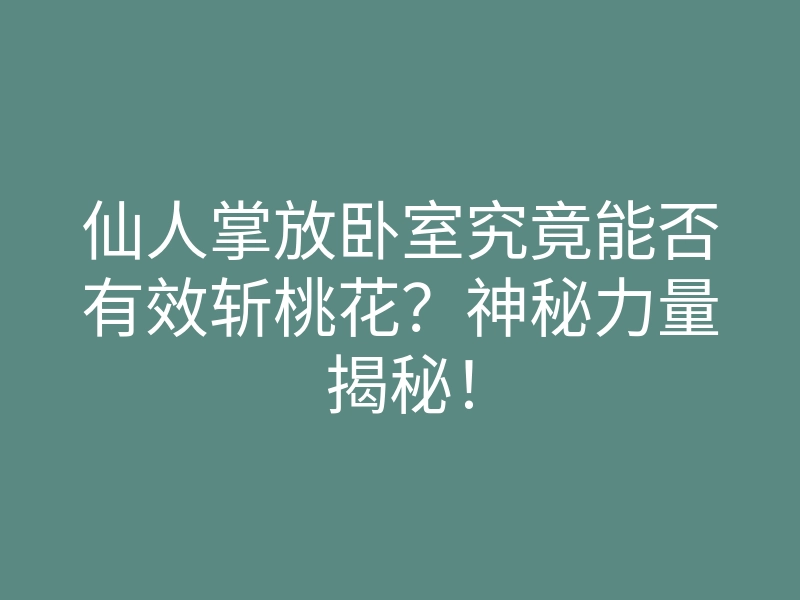 仙人掌放卧室究竟能否有效斩桃花?神秘力量揭秘!
