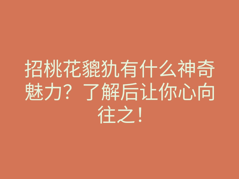 招桃花貔犰有什么神奇魅力?了解后让你心向往之!