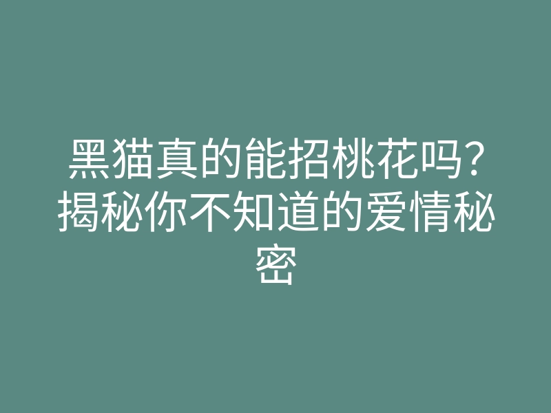 黑猫真的能招桃花吗?揭秘你不知道的爱情秘密