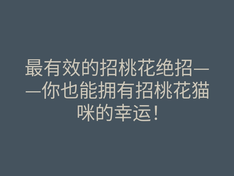 最有效的招桃花绝招——你也能拥有招桃花猫咪的幸运!