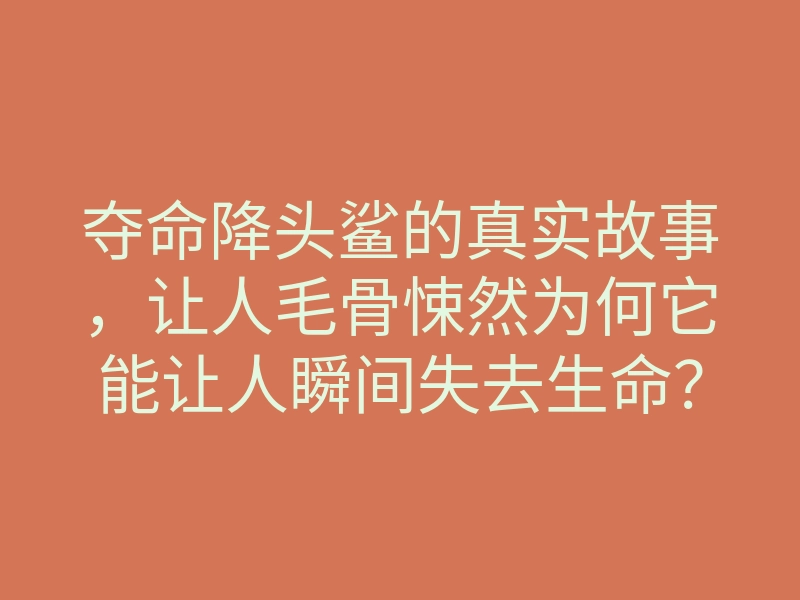 夺命降头鲨的真实故事,让人毛骨悚然为何它能让人瞬间失去生命?