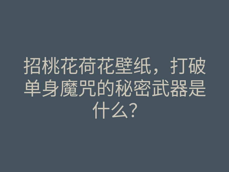 招桃花荷花壁纸,打破单身魔咒的秘密武器是什么?