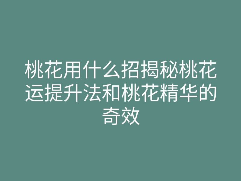 桃花用什么招揭秘桃花运提升法和桃花精华的奇效
