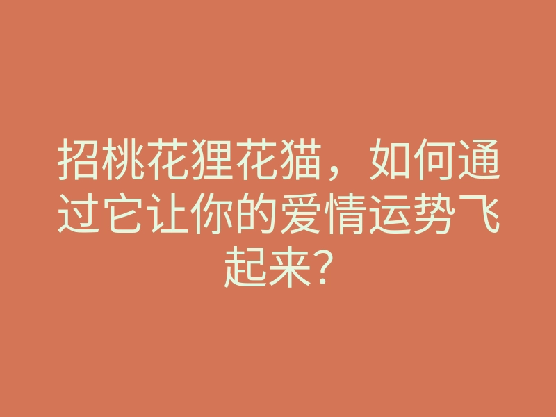 招桃花狸花猫，如何通过它让你的爱情运势飞起来？