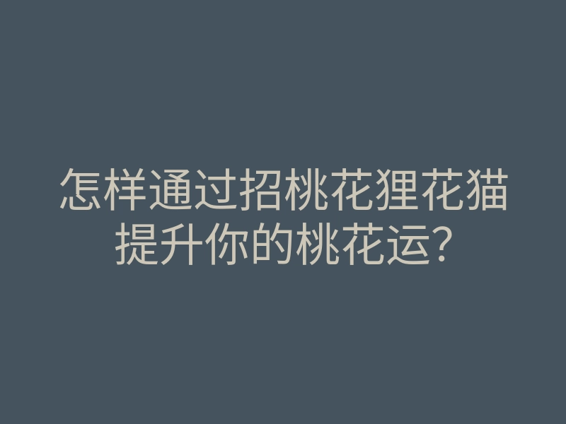 怎样通过招桃花狸花猫提升你的桃花运?
