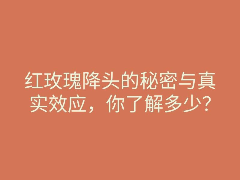 红玫瑰降头的秘密与真实效应,你了解多少?