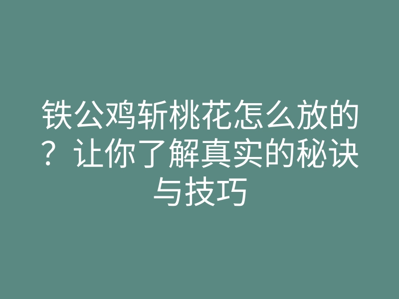 铁公鸡斩桃花怎么放的?让你了解真实的秘诀与技巧