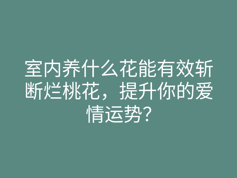 室内养什么花能有效斩断烂桃花,提升你的爱情运势?