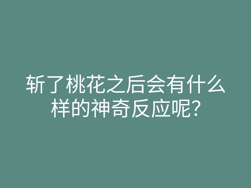斩了桃花之后会有什么样的神奇反应呢?