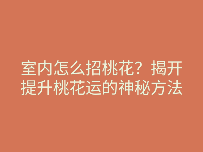 室内怎么招桃花?揭开提升桃花运的神秘方法