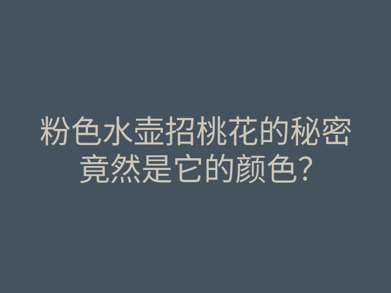 粉色水壶招桃花的秘密竟然是它的颜色?