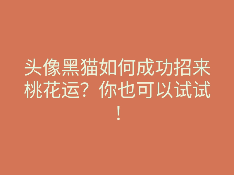 头像黑猫如何成功招来桃花运?你也可以试试!