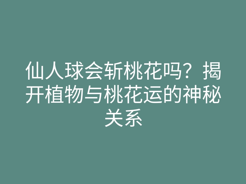 仙人球会斩桃花吗？揭开植物与桃花运的神秘关系