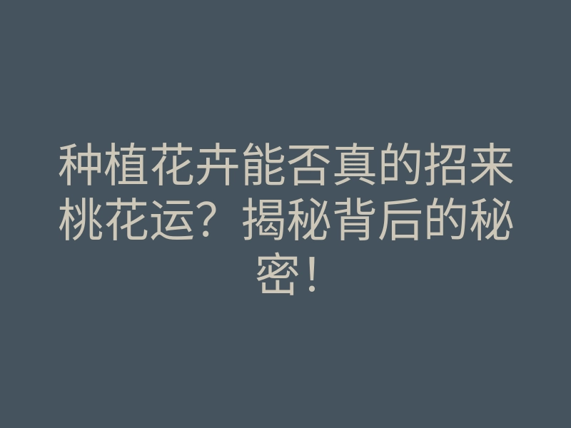 种植花卉能否真的招来桃花运?揭秘背后的秘密!