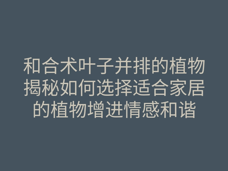 和合术叶子并排的植物揭秘如何选择适合家居的植物增进情感和谐