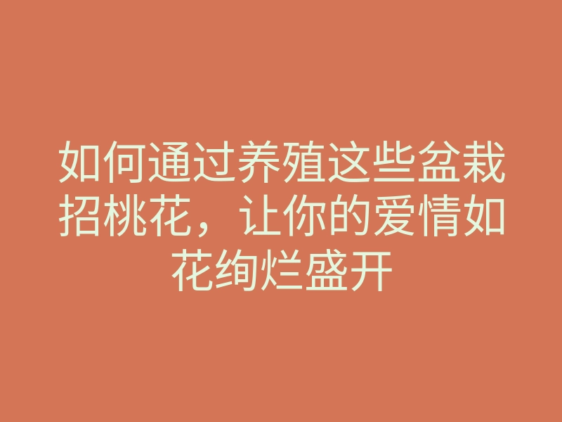 如何通过养殖这些盆栽招桃花，让你的爱情如花绚烂盛开