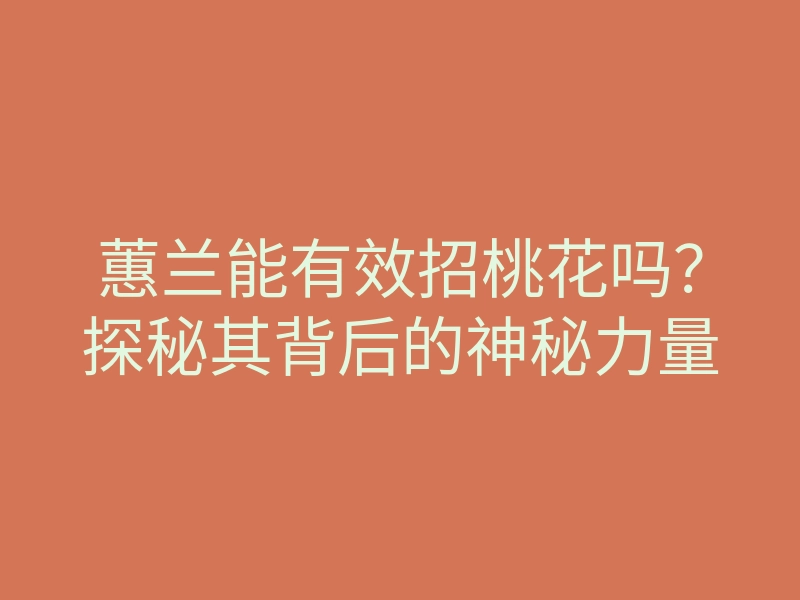 蕙兰能有效招桃花吗?探秘其背后的神秘力量