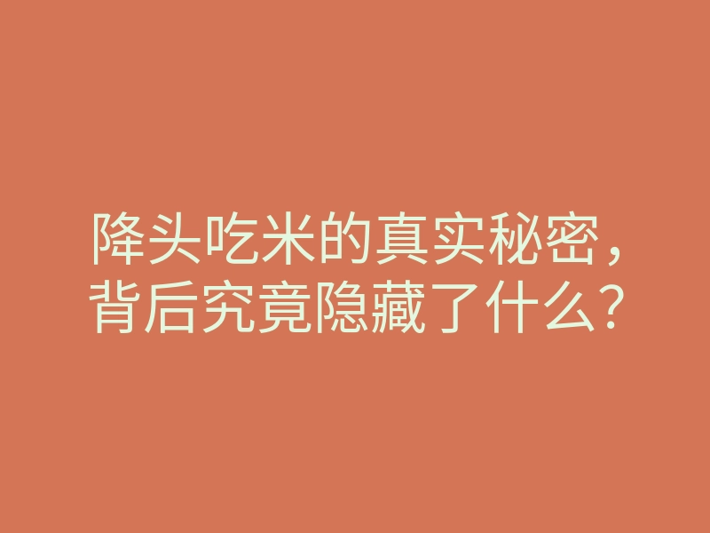降头吃米的真实秘密,背后究竟隐藏了什么?