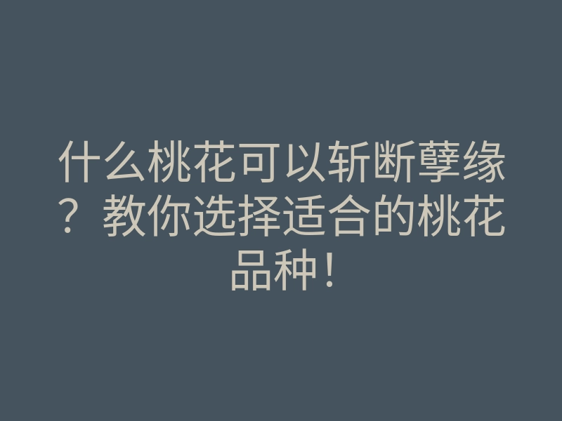 什么桃花可以斩断孽缘?教你选择适合的桃花品种!