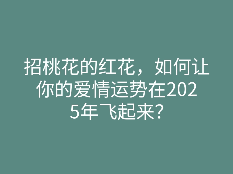 招桃花的红花，如何让你的爱情运势在2025年飞起来？