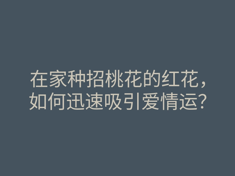 在家种招桃花的红花,如何迅速吸引爱情运?