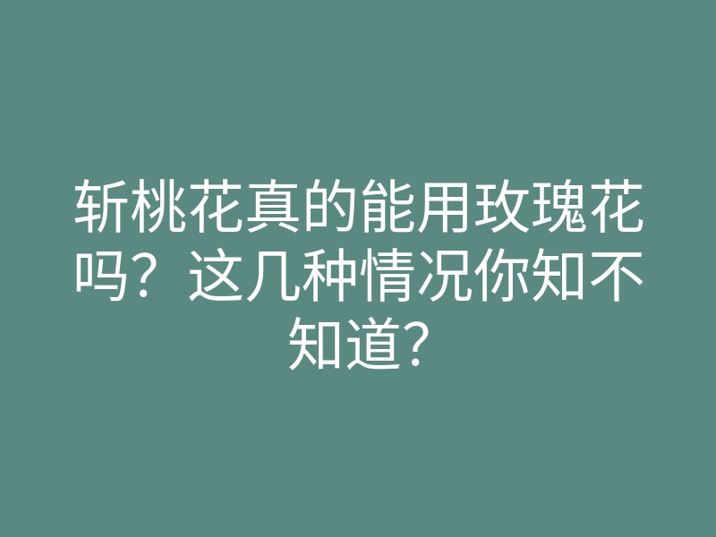 斩桃花真的能用玫瑰花吗?这几种情况你知不知道?