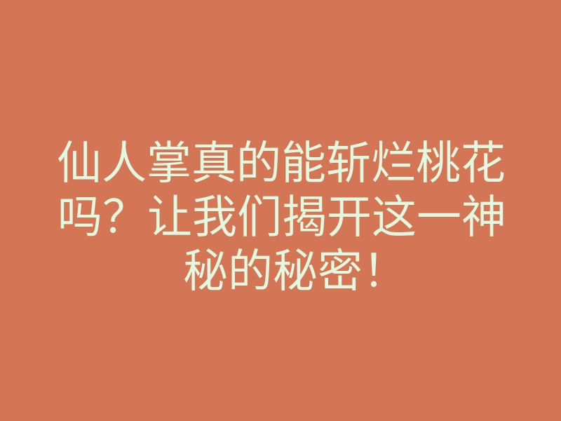仙人掌真的能斩烂桃花吗?让我们揭开这一神秘的秘密!