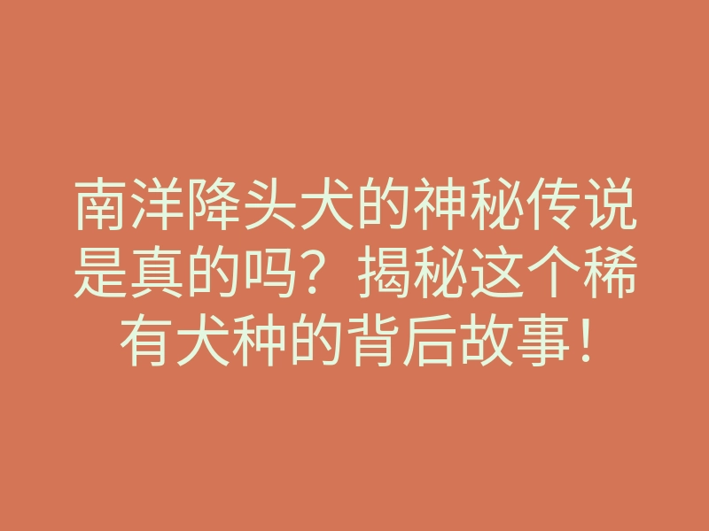 南洋降头犬的神秘传说是真的吗?揭秘这个稀有犬种的背后故事!