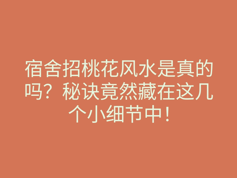 宿舍招桃花风水是真的吗?秘诀竟然藏在这几个小细节中!