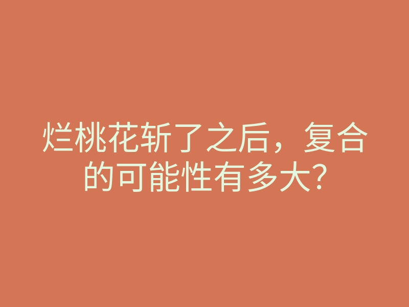 烂桃花斩了之后,复合的可能性有多大?