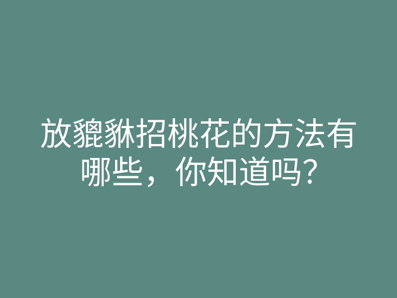 放貔貅招桃花的方法有哪些,你知道吗?