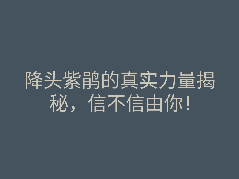 降头紫鹃的真实力量揭秘,信不信由你!