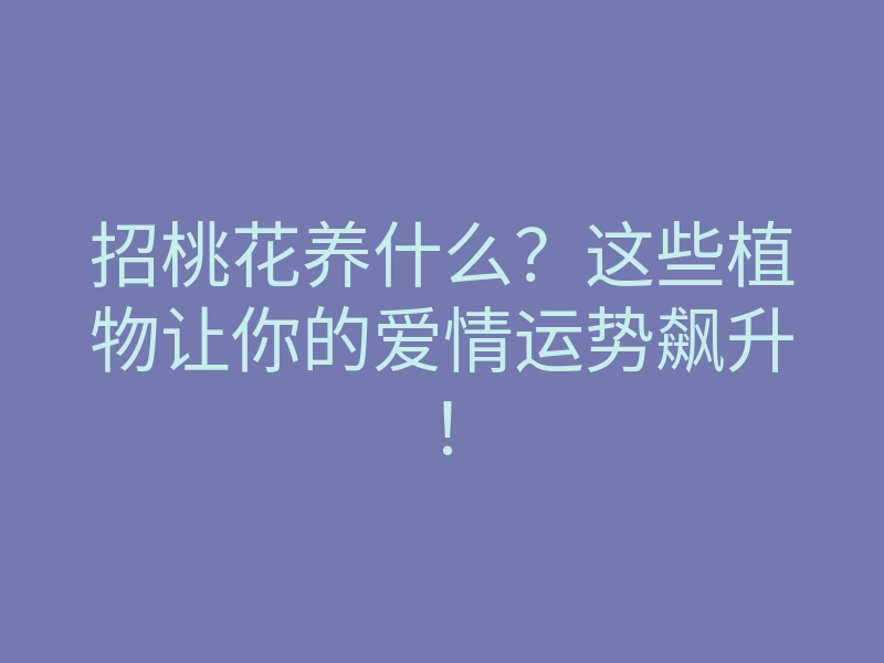 招桃花养什么?这些植物让你的爱情运势飙升!